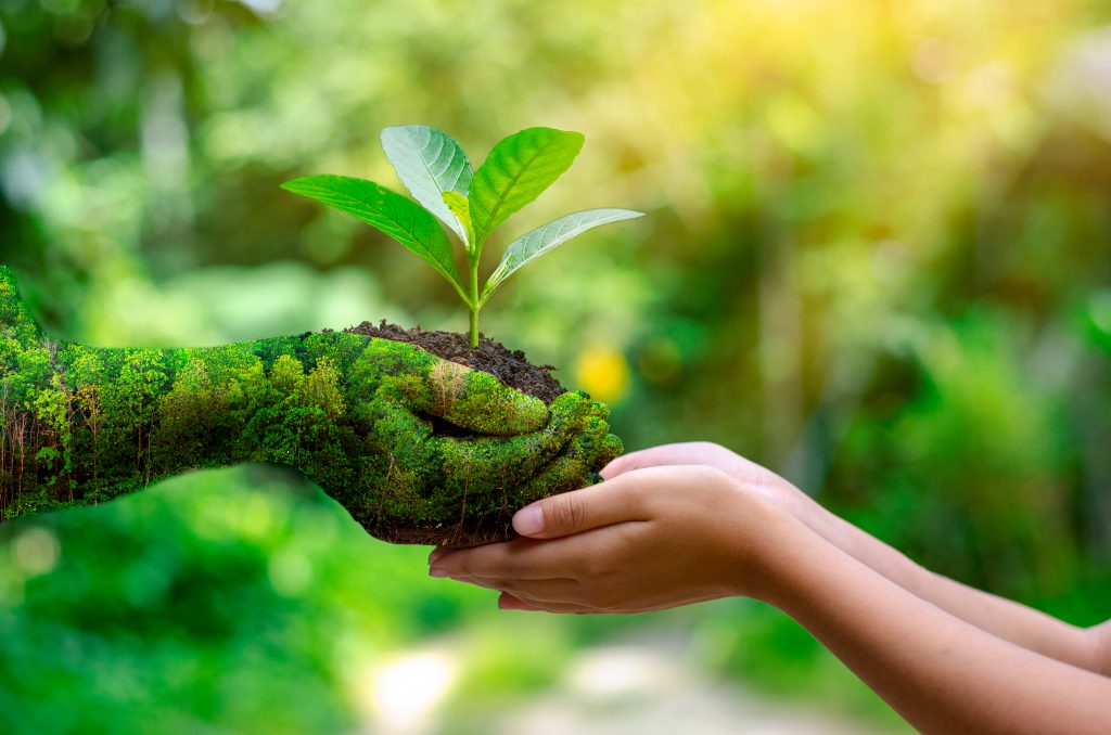 9 Things You Can Do Today to Be More Eco-Friendly - A Better Way To Age Eco-friendly hotels committed to sustainable practices