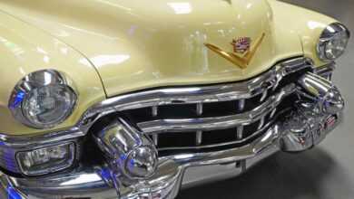 Luxury hotels with specialized wellness programs for guests